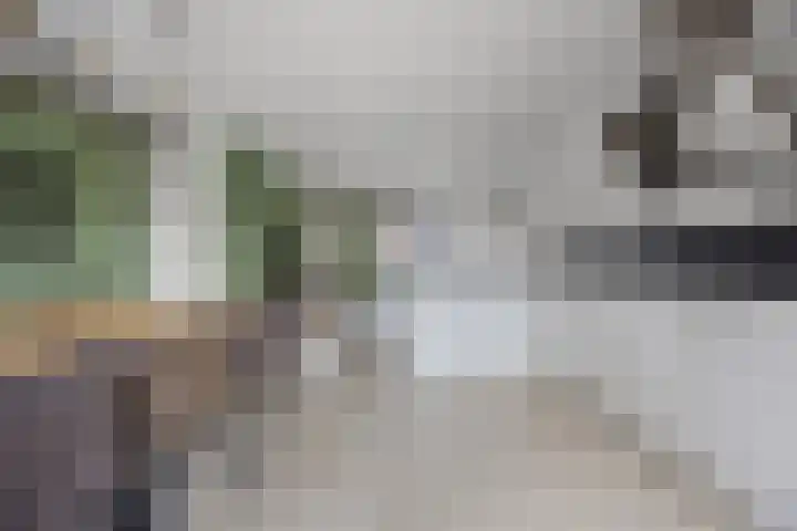 Europalaan 25 Drunen thumbnail 8