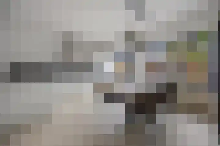 Europalaan 25 Drunen thumbnail 9