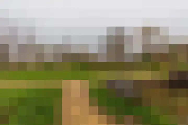 Europalaan 251 Brunssum thumbnail 31