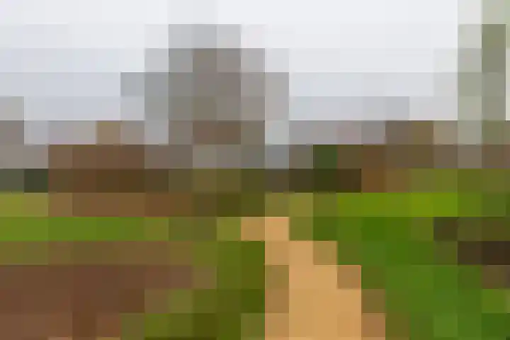 Europalaan 251 Brunssum thumbnail 32