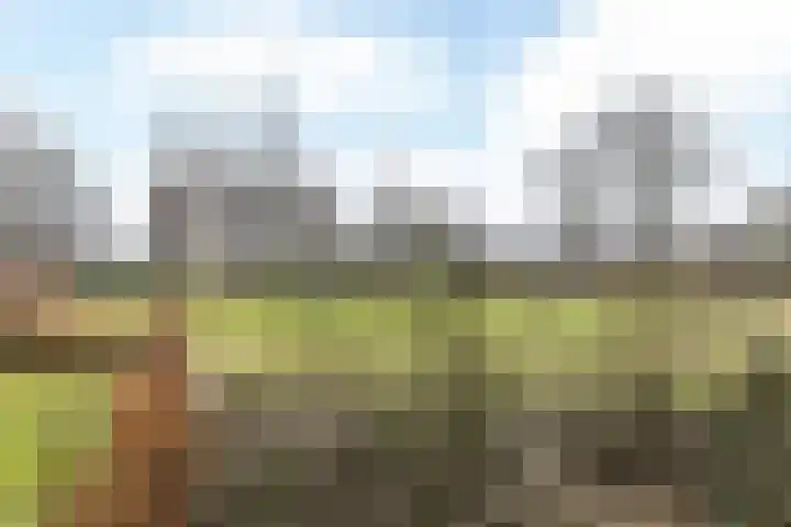 Europalaan 255 Brunssum thumbnail 15