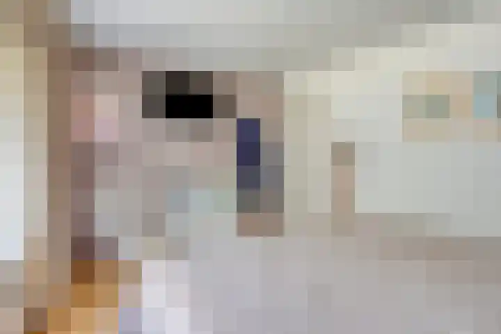 Europalaan 26 Veldhoven thumbnail 16