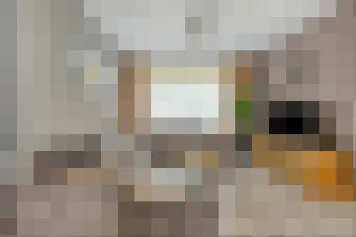 Europalaan 26 Veldhoven thumbnail 8