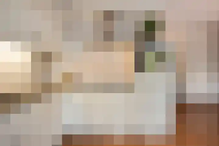 Europalaan 27 Drunen thumbnail 11