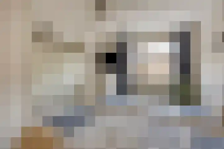 Europalaan 27 Drunen thumbnail 16