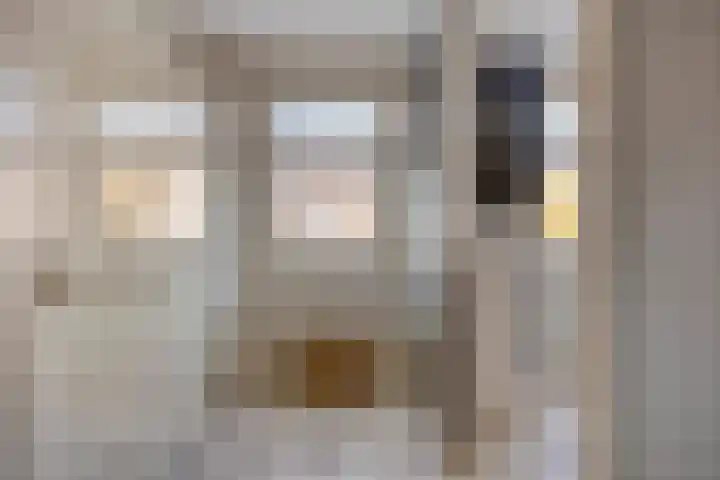 Europalaan 27 Drunen thumbnail 17