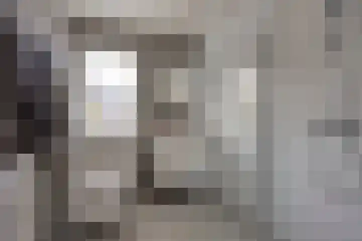 Europalaan 27 Drunen thumbnail 18