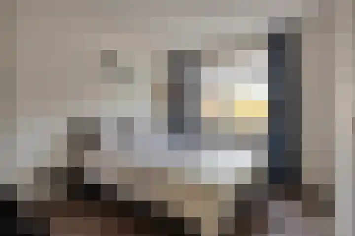 Europalaan 27 Drunen thumbnail 20