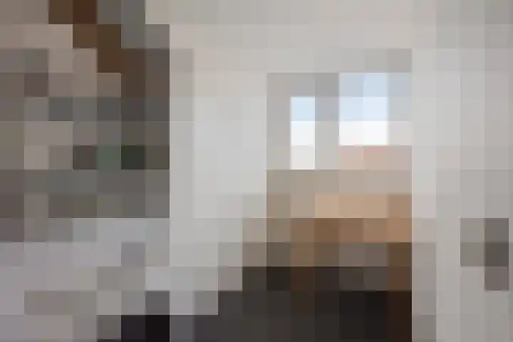 Europalaan 27 Drunen thumbnail 23