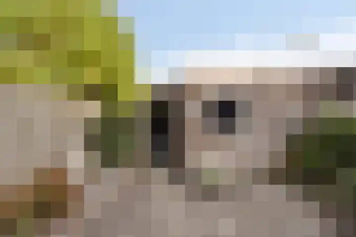 Europalaan 27 Drunen thumbnail 26