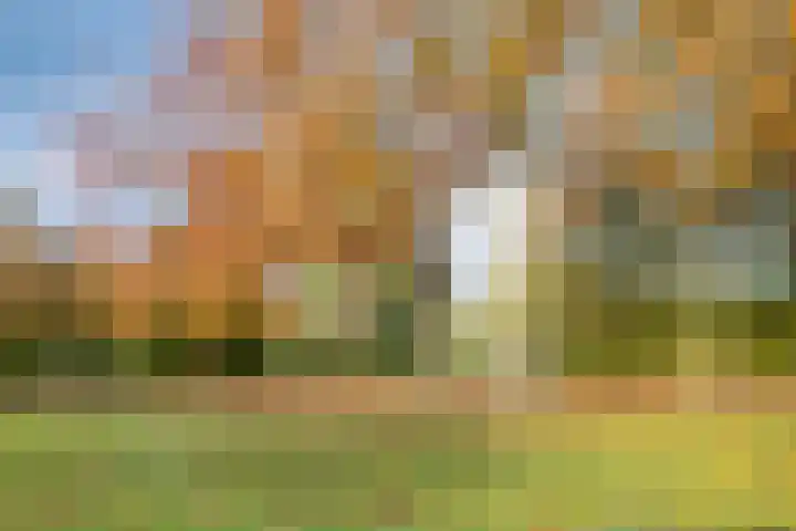 Europalaan 27 Drunen thumbnail 29