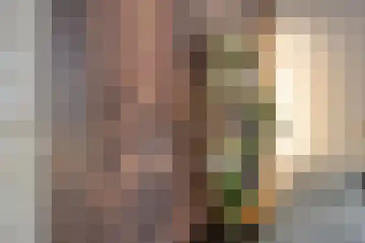 Europalaan 27 Drunen thumbnail 8
