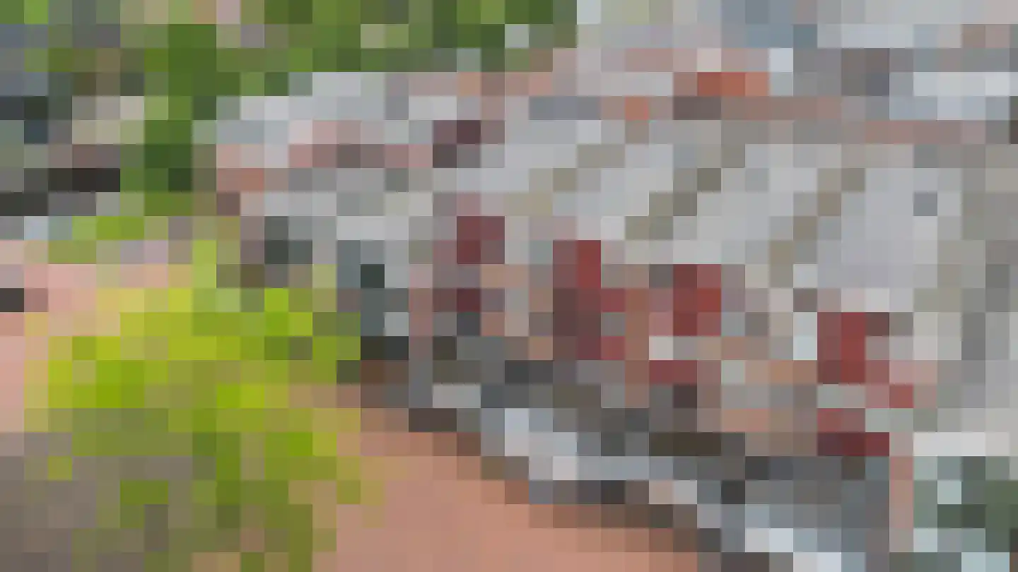 Europalaan 27 Stadskanaal thumbnail 29