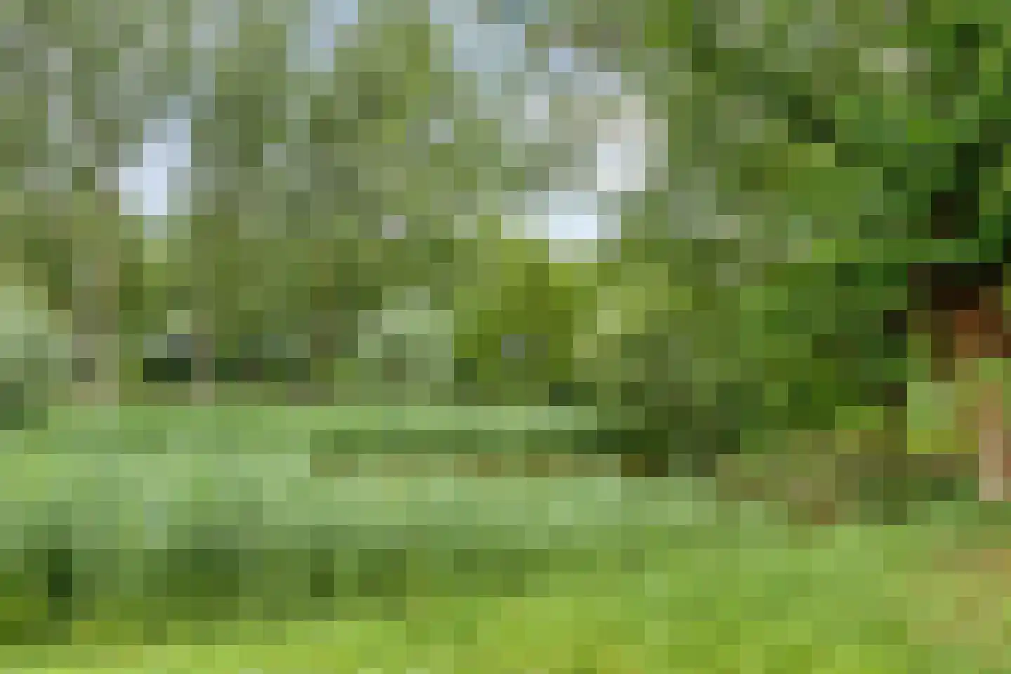 Europalaan 28 Goes thumbnail 35