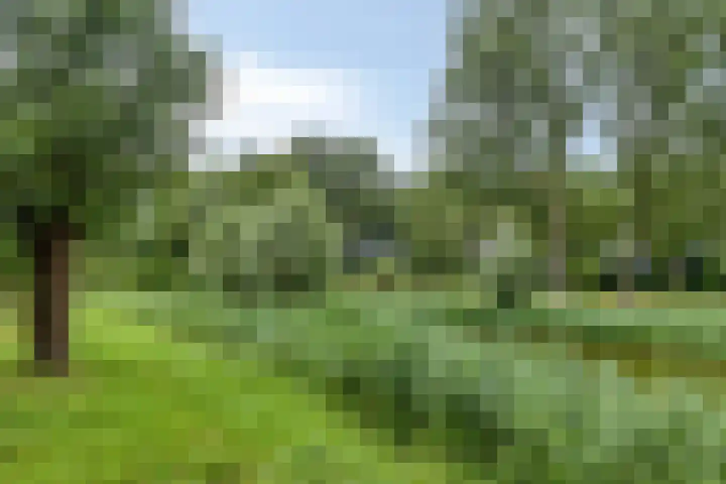 Europalaan 28 Goes thumbnail 36