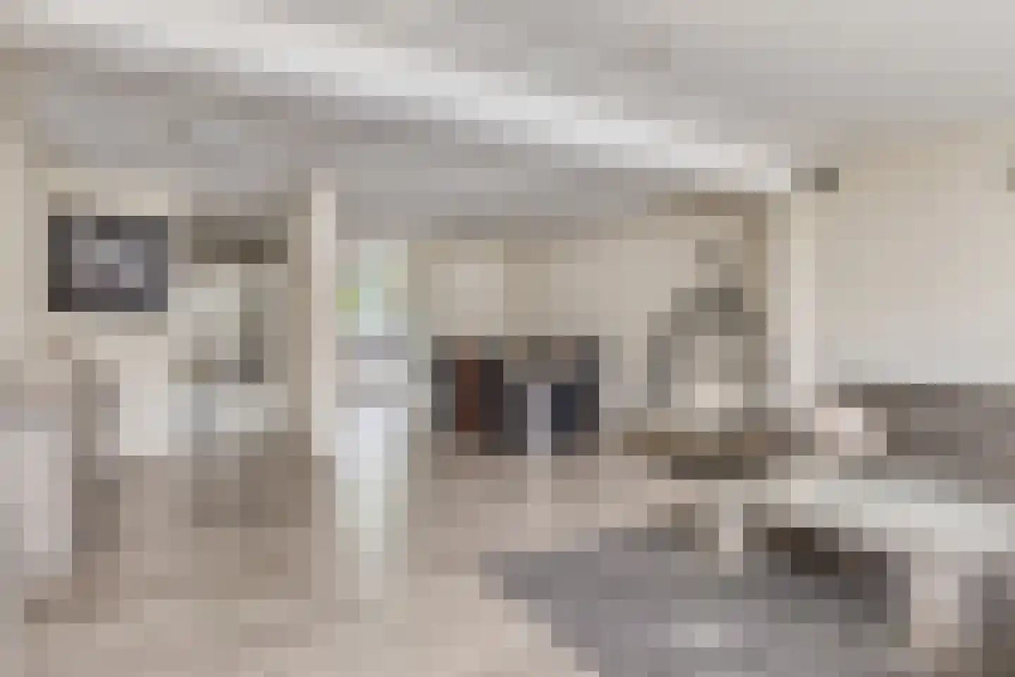 Europalaan 28 Goes thumbnail 8