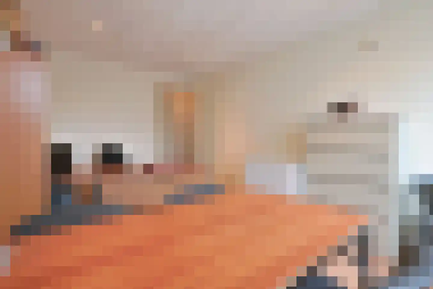 Europalaan 28 Schijndel thumbnail 21