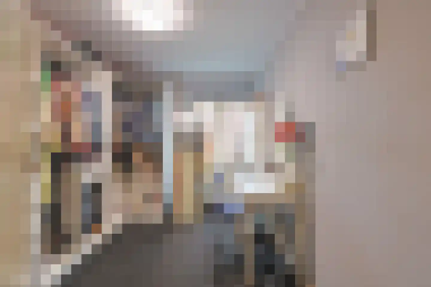 Europalaan 28 Schijndel thumbnail 29