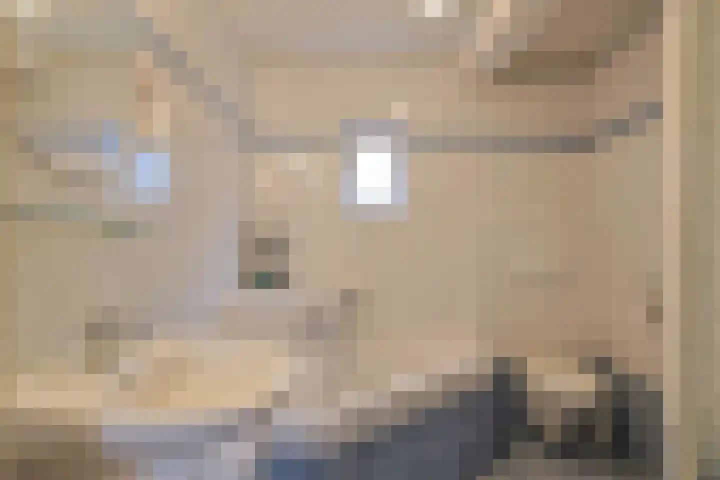 Europalaan 28 Schijndel thumbnail 31