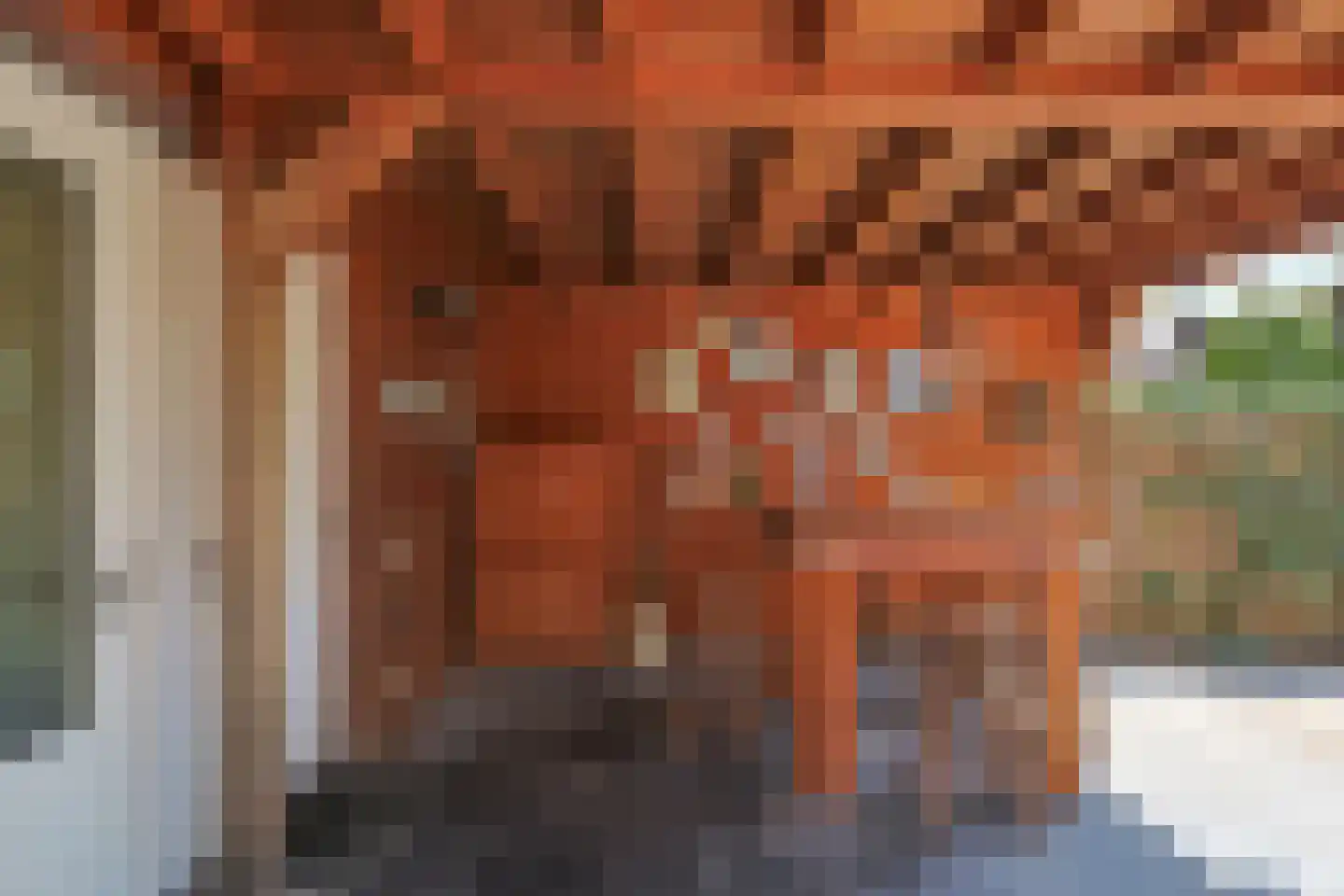 Europalaan 28 Schijndel thumbnail 38