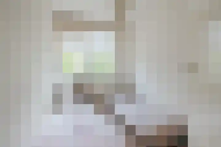 Europalaan 289 Tilburg thumbnail 15