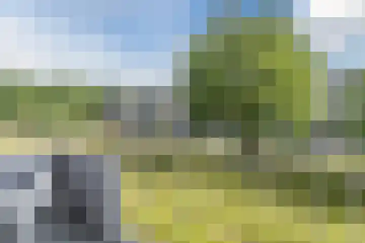 Europalaan 289 Tilburg thumbnail 17