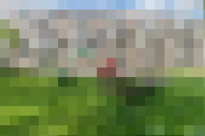 Europalaan 289 Tilburg thumbnail 22