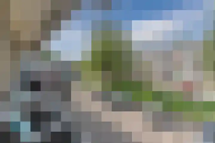 Europalaan 289 Tilburg thumbnail 6