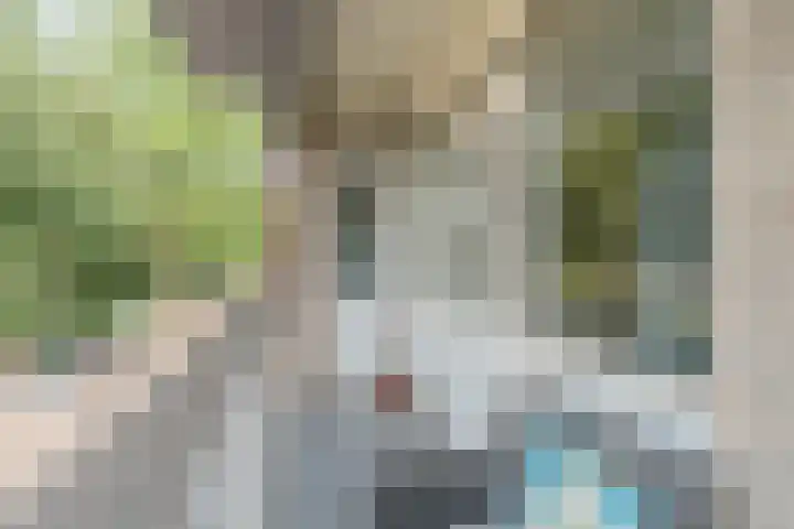 Europalaan 289 Tilburg thumbnail 9