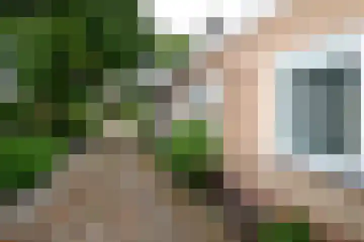 Europalaan 29 West-Terschelling thumbnail 32