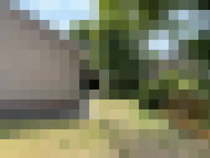 Europalaan 29 West-Terschelling thumbnail 41