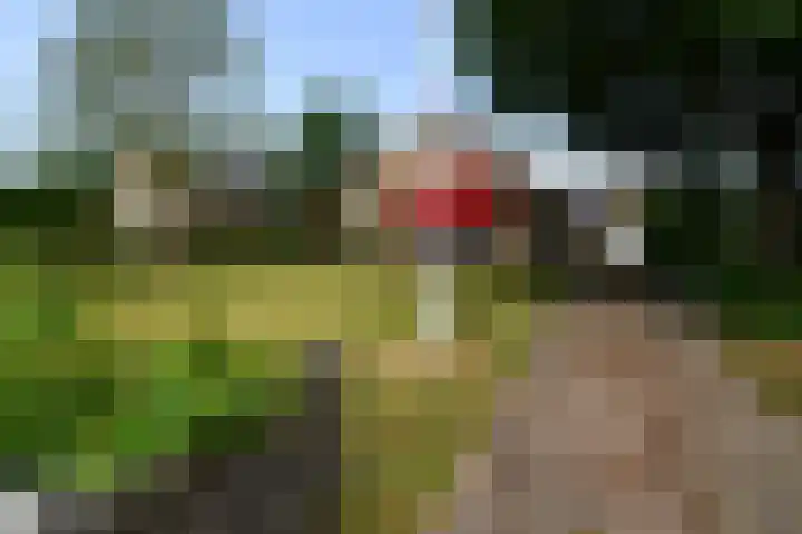 Europalaan 29 West-Terschelling thumbnail 46
