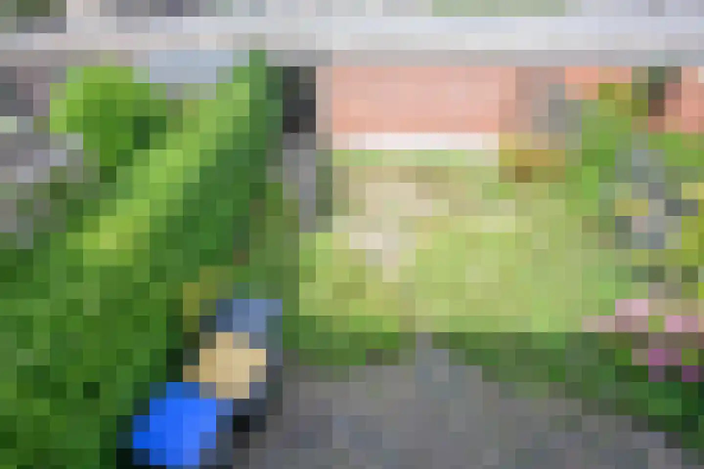 Europalaan 3 Emmeloord thumbnail 26