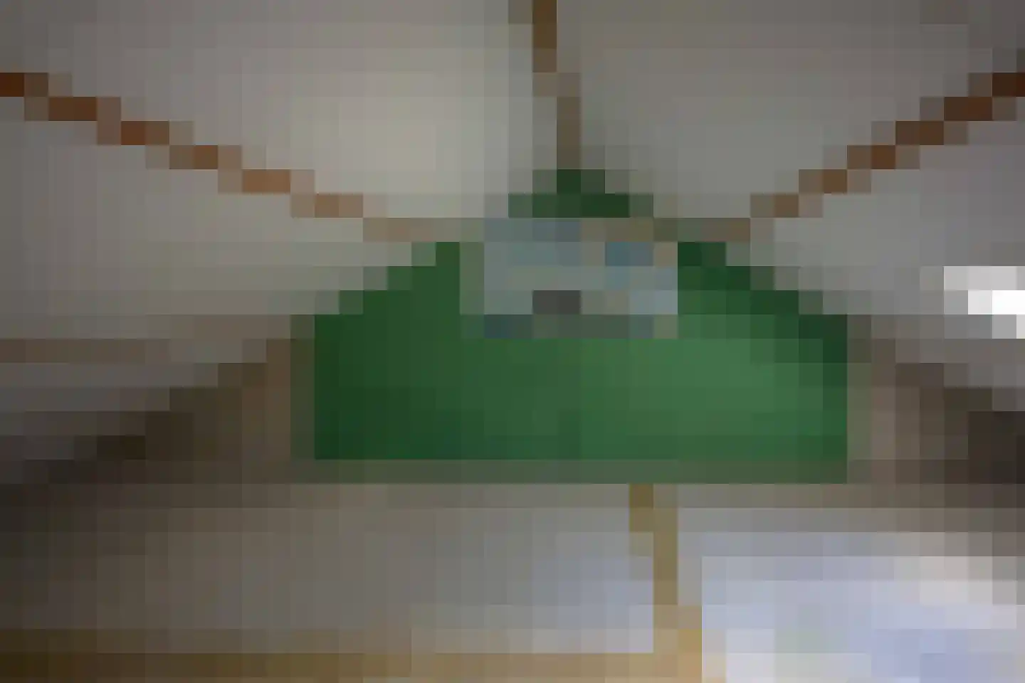 Europalaan 3 Emmeloord thumbnail 33