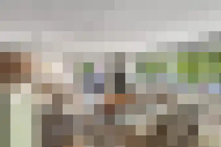Europalaan 32 Alphen aan den Rijn thumbnail 11