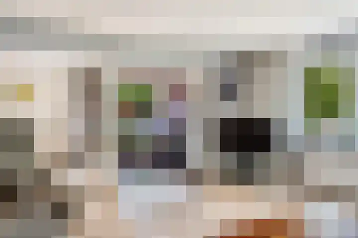 Europalaan 32 Alphen aan den Rijn thumbnail 12