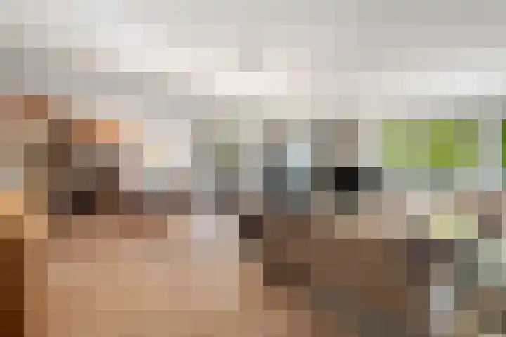 Europalaan 32 Alphen aan den Rijn thumbnail 13