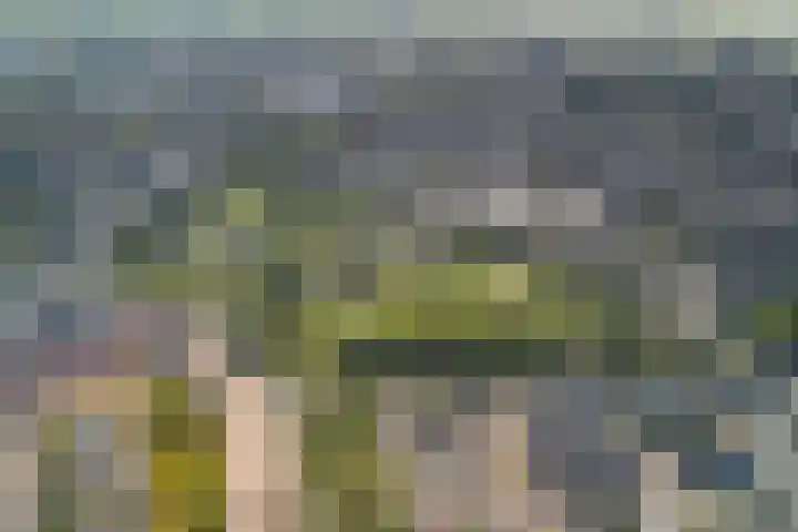Europalaan 32 Alphen aan den Rijn thumbnail 33