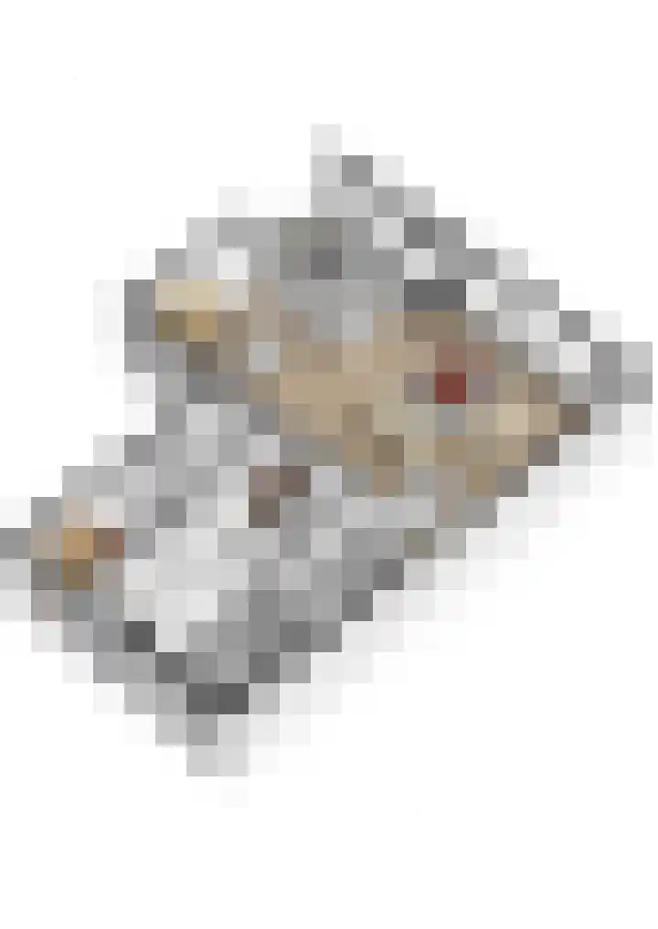 Europalaan 32 Alphen aan den Rijn thumbnail 37