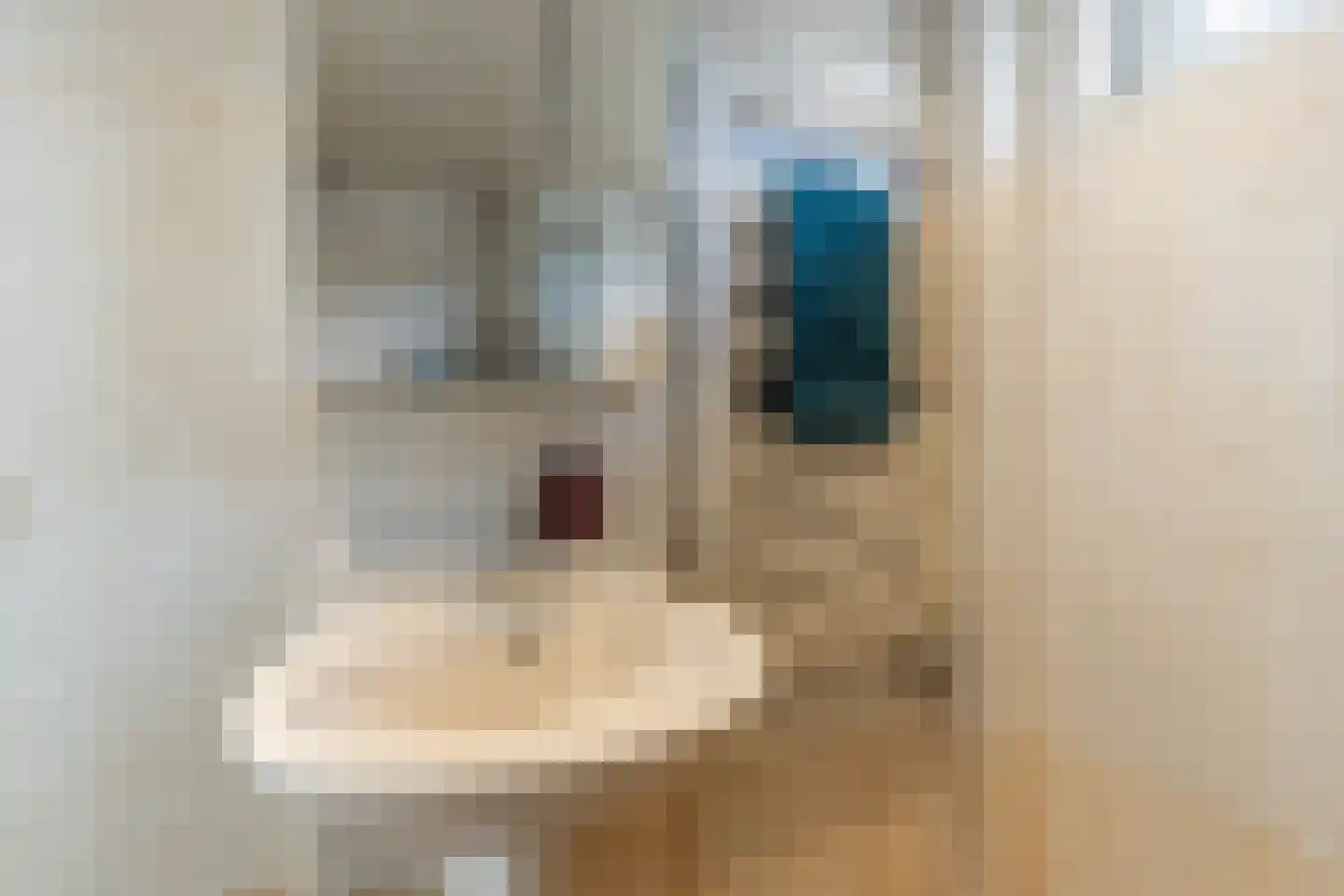 Europalaan 32 Drunen thumbnail 14