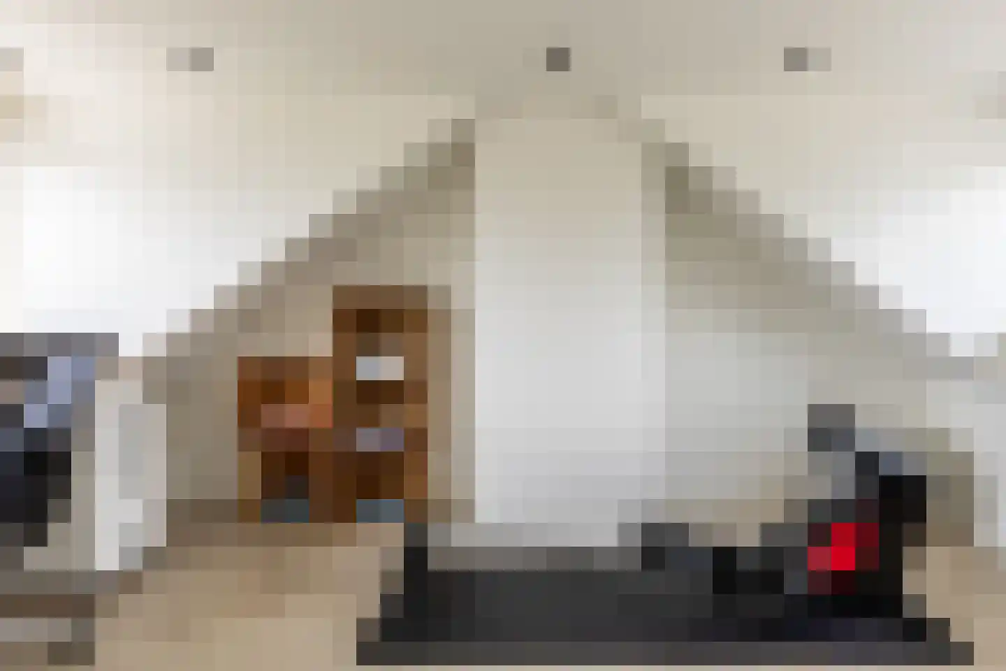 Europalaan 32 Drunen thumbnail 22