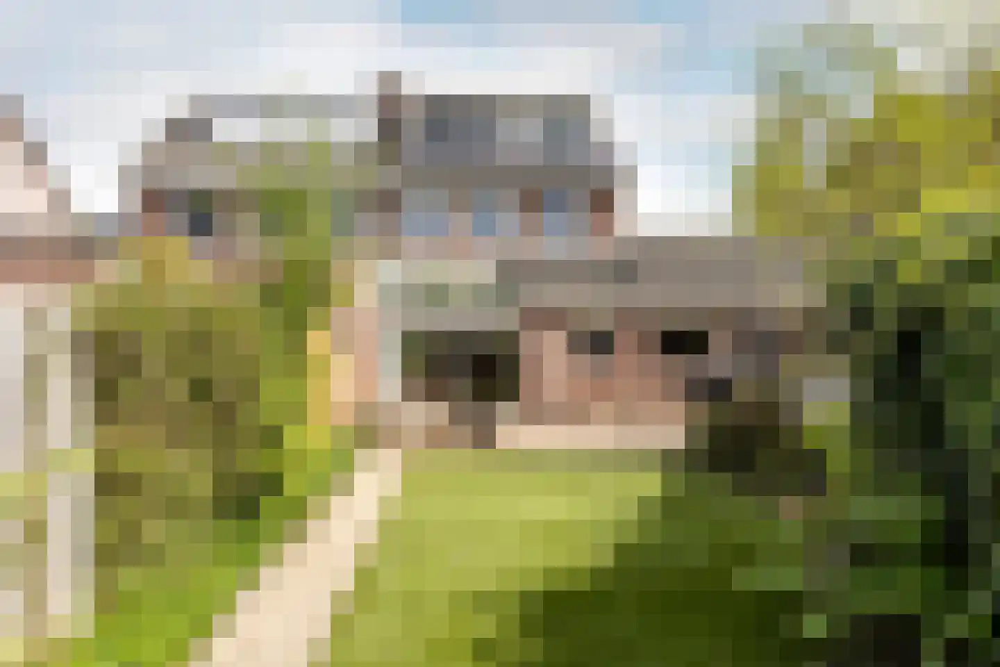 Europalaan 32 Drunen thumbnail 28