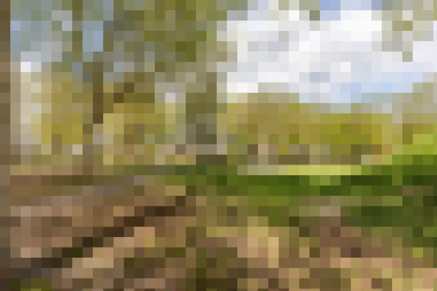 Europalaan 32 Drunen thumbnail 34