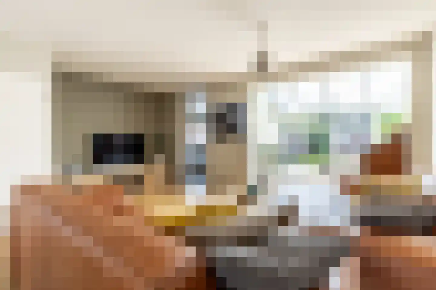 Europalaan 32 Drunen thumbnail 5