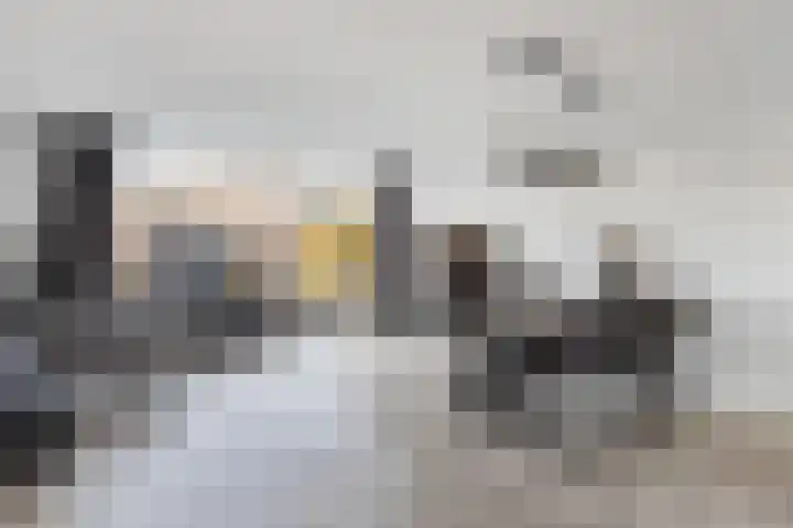 Europalaan 32 Emmeloord thumbnail 13