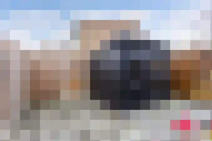 Europalaan 32 Emmeloord thumbnail 28