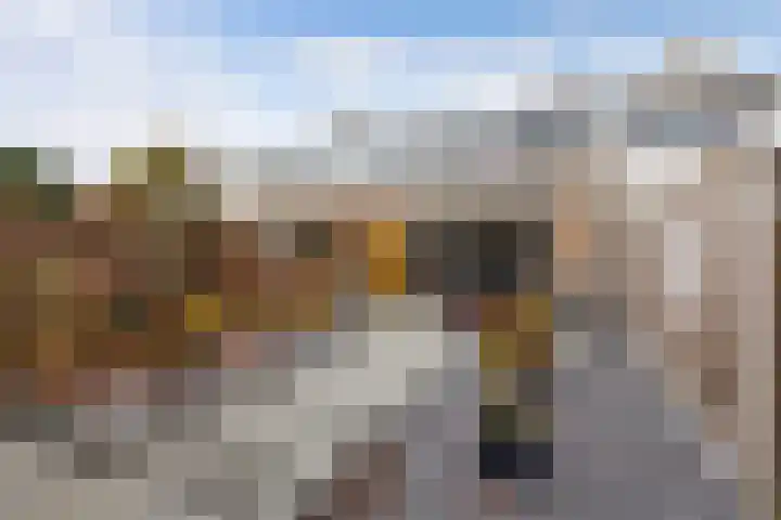 Europalaan 32 Emmeloord thumbnail 29