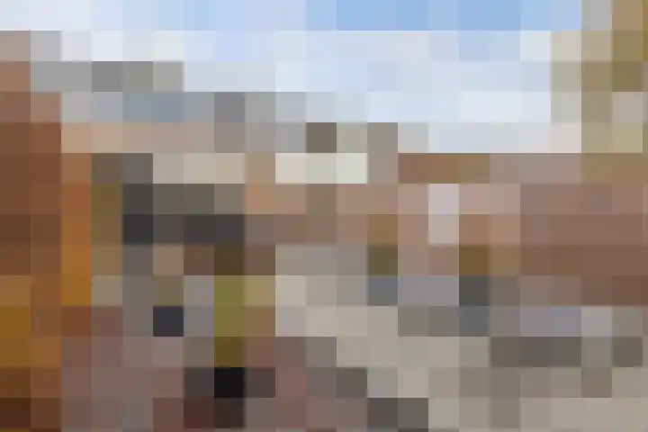Europalaan 32 Emmeloord thumbnail 30