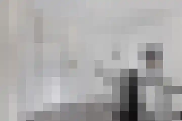 Europalaan 32 Emmeloord thumbnail 33