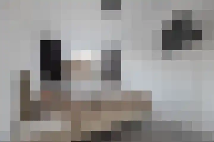 Europalaan 32 Emmeloord thumbnail 34